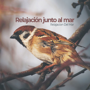 Small Stream, Big Bird Population