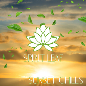 Sunset Chills (River)