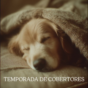 Bigotes Junto A La Ventana