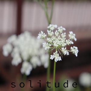 Solitude