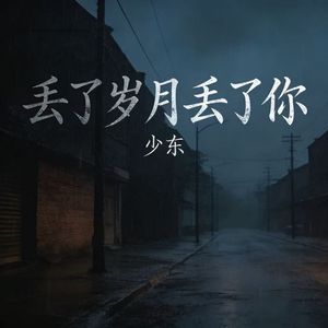 丢了岁月丢了你