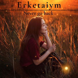 Never Go Back
