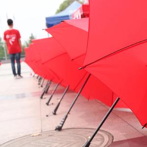 红伞忆（翻自 房东的猫）