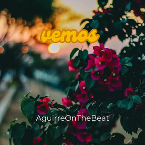 Vemos