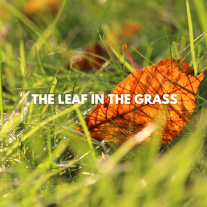 The Leave in the Grass - (Short Unplugged Version)