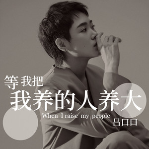 等我把我养的人养大 (DJ德朋版)