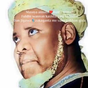 Soyayyar shehu