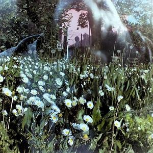 Giugno (canzone del male d'amore e della circoscrizione 2) (edizione cameretta)