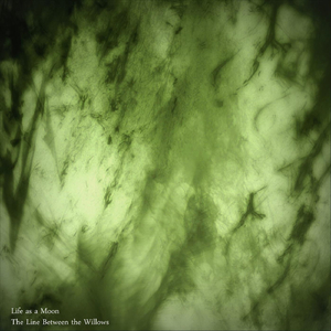 The Line Between the Willows