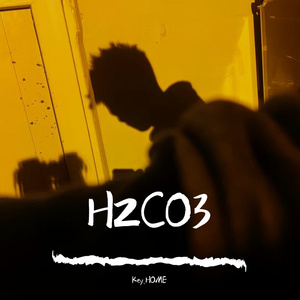 H2CO3（Prod by Mapson）