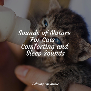 Lullabies for Sleep