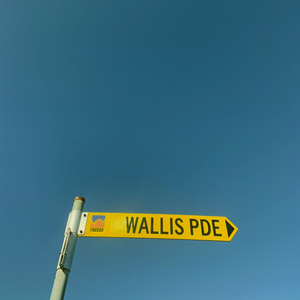 Wallis Pde