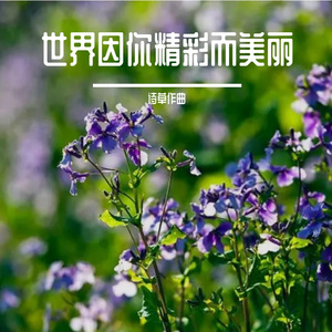 思念在为你燃烧