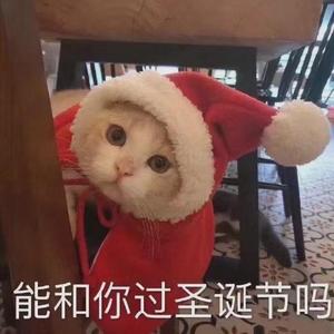 每年这两天我只想要你