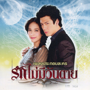 เนื้อคู่ (เพลงประกอบละคร "ส้มหวานน้ำตาลเปรี้ยว")