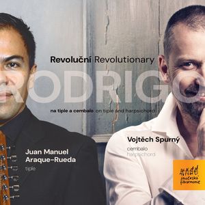 Concierto de Aranjuez:Allegro con spirito