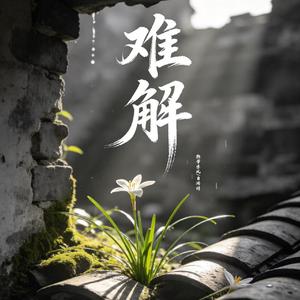 难解(前世不见 今生不欠)