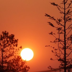 悲观主义者（PROD BY MEGA）