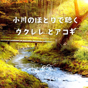 Songs of the Shallows