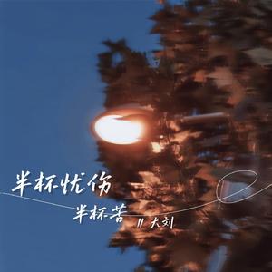 半杯忧伤半杯苦