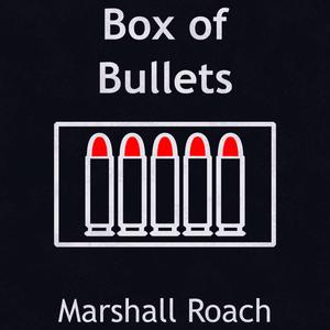 Box of Bullets