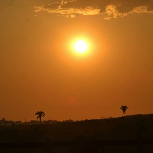 Sunshine