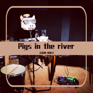 Pigs in the river