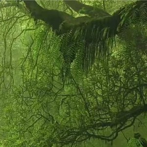 离别情歌1675061475558_155859_track0_155859