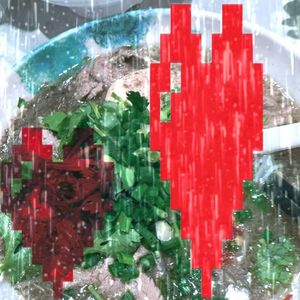 葱香菜雨 ft.蜉蝣123