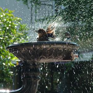 Can we swim in the river