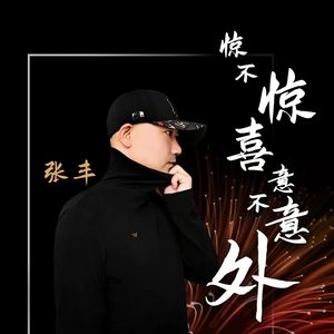 惊不惊喜 意不意外