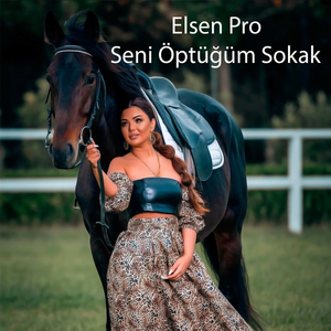 Seni Öptüğüm Sokak