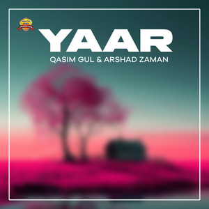 Yaar