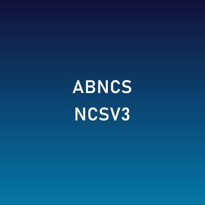 AB.NCS[XII], Vol. III