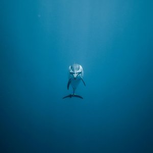 精神病房也会迎来清晨(Prod by DaveBeats))