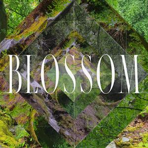 Blossom