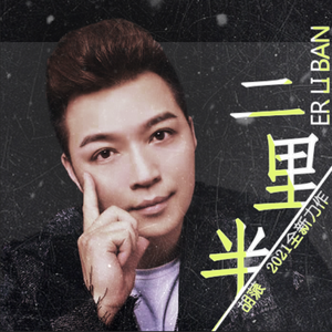 二里半 (DJ小拳权版)