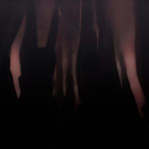 Nous sommes lésions