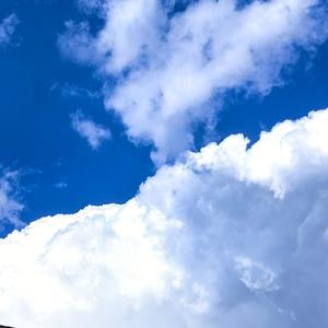 風のたより-信风（模拟现场remix）