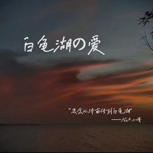 白龟湖の爱