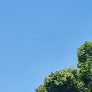永恒的灵魂
