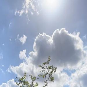 Look at the stars align