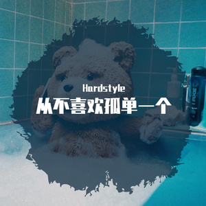 苏永康-从不喜欢孤单一个（泳仔Remix）