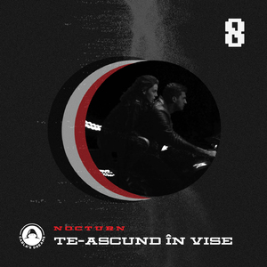 Te-Ascund In Vise