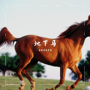 地下马 (5)