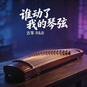 谁动了我的琴弦（古筝R&B）