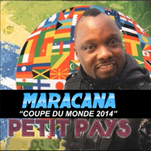 Maracana (Coupe du monde 2014)