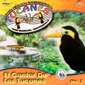 Norteñas Tucaneras 4: Gavilán Perdido / Nunca Cambiarás / Ni Tuya Ni Mía / El Milagrito