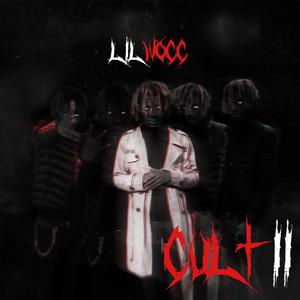 Choppa Hit X Lil Zoom