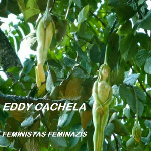 Feministas Feminazis